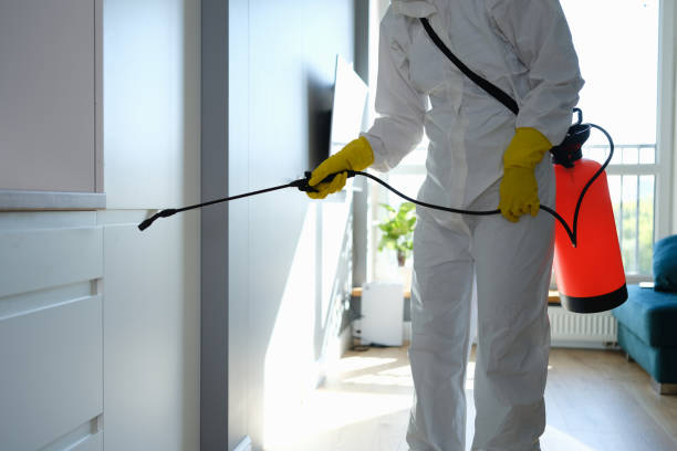 Best Emergency Mold Remediation in Marina, CA